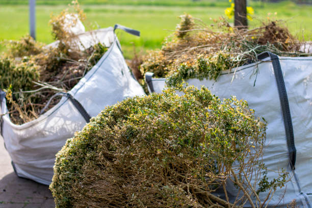 Best Same-Day Junk Removal Services  in Lyndon, KS